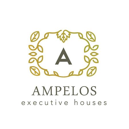 Ampelos Executive Houses Pyrgos Kallistis ภายนอก รูปภาพ