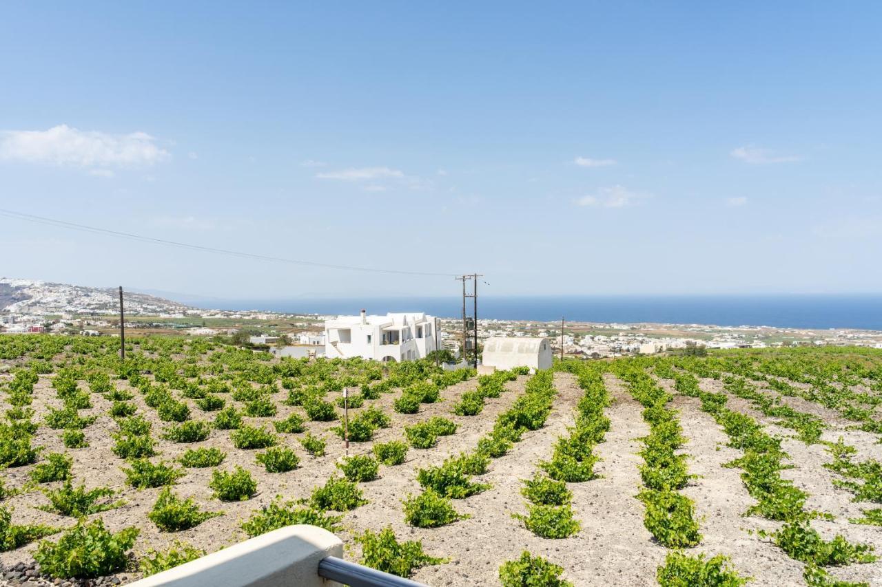 Ampelos Executive Houses Pyrgos Kallistis ภายนอก รูปภาพ