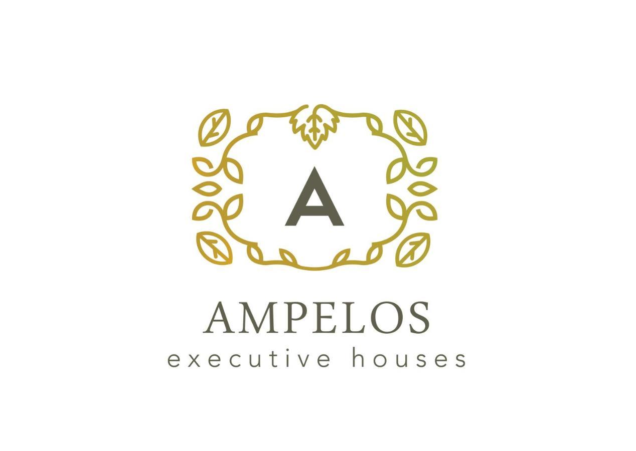 Ampelos Executive Houses Pyrgos Kallistis ภายนอก รูปภาพ